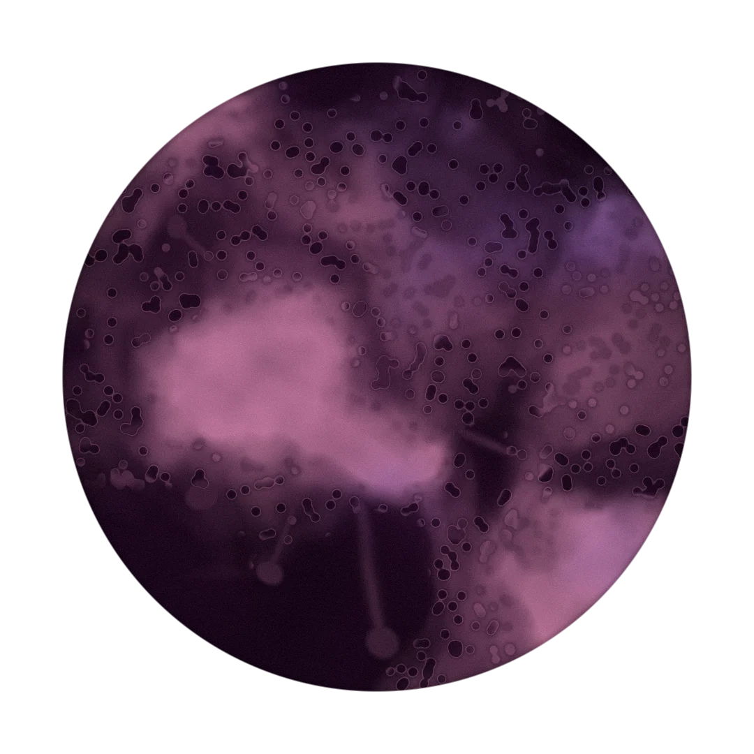 SPACEY cover