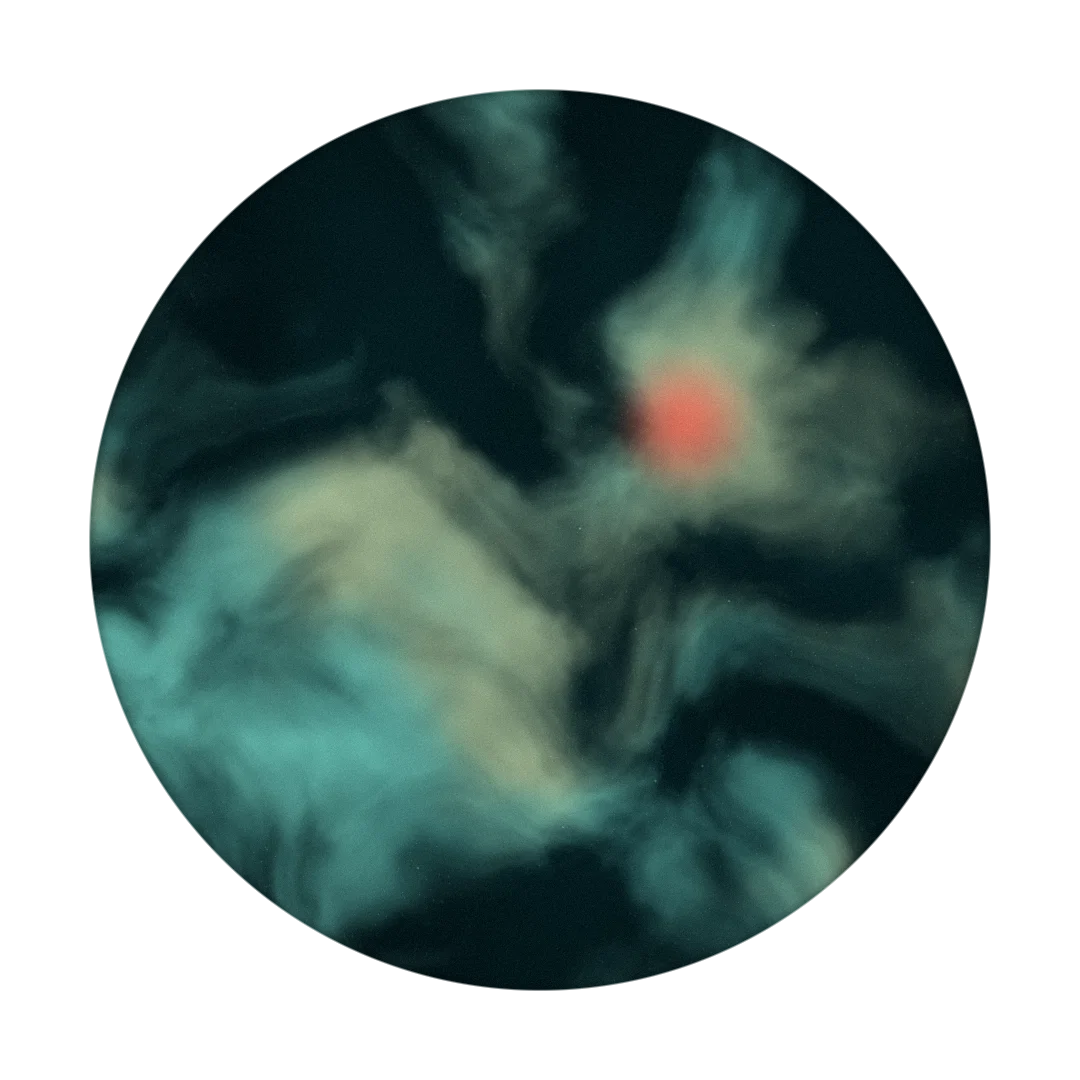 FOSSILS cover