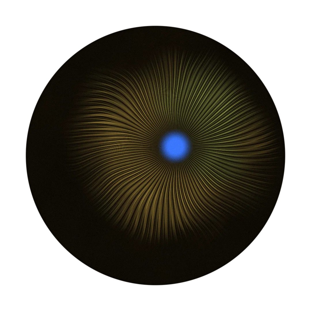 ASHWAGANDHA cover
