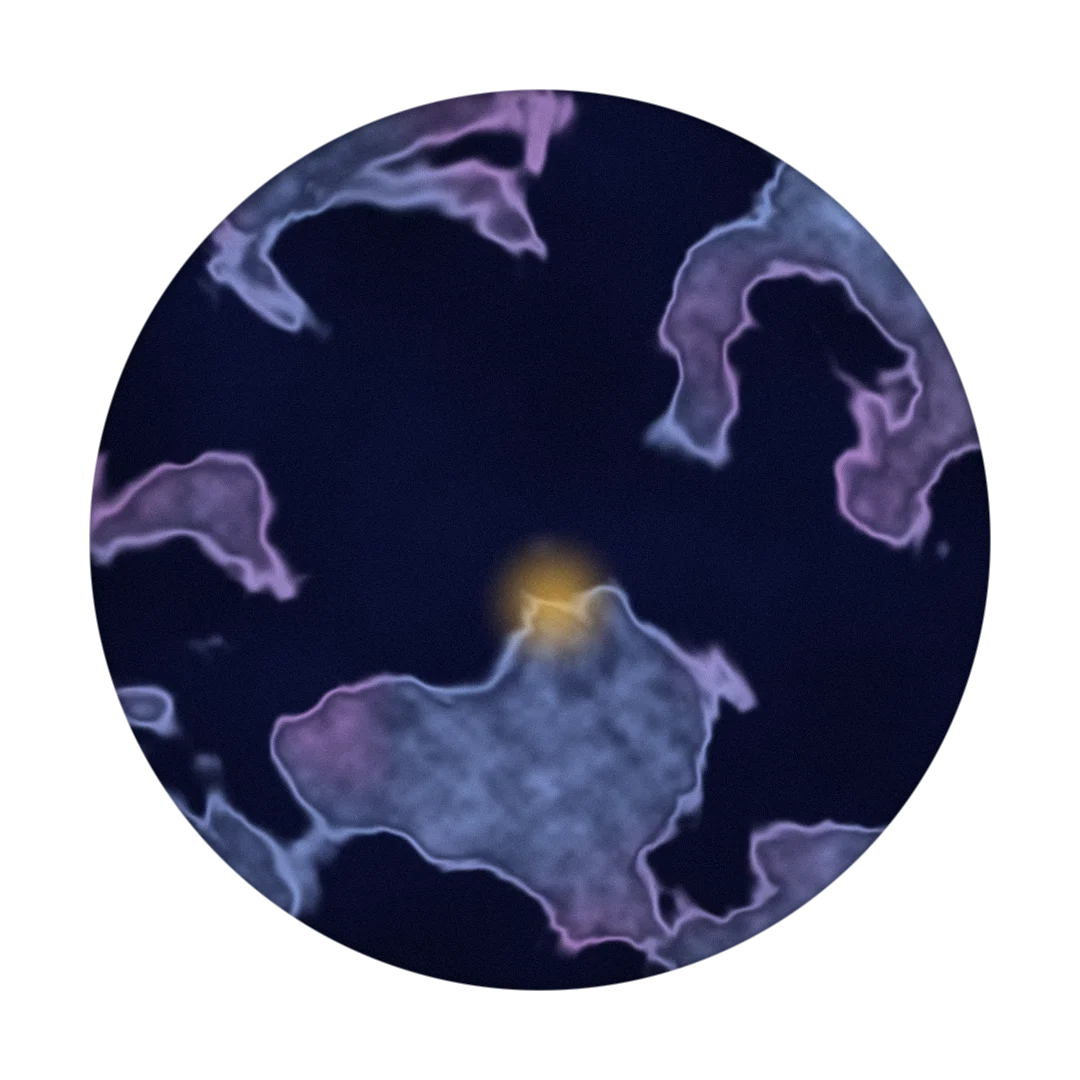 POLAR cover