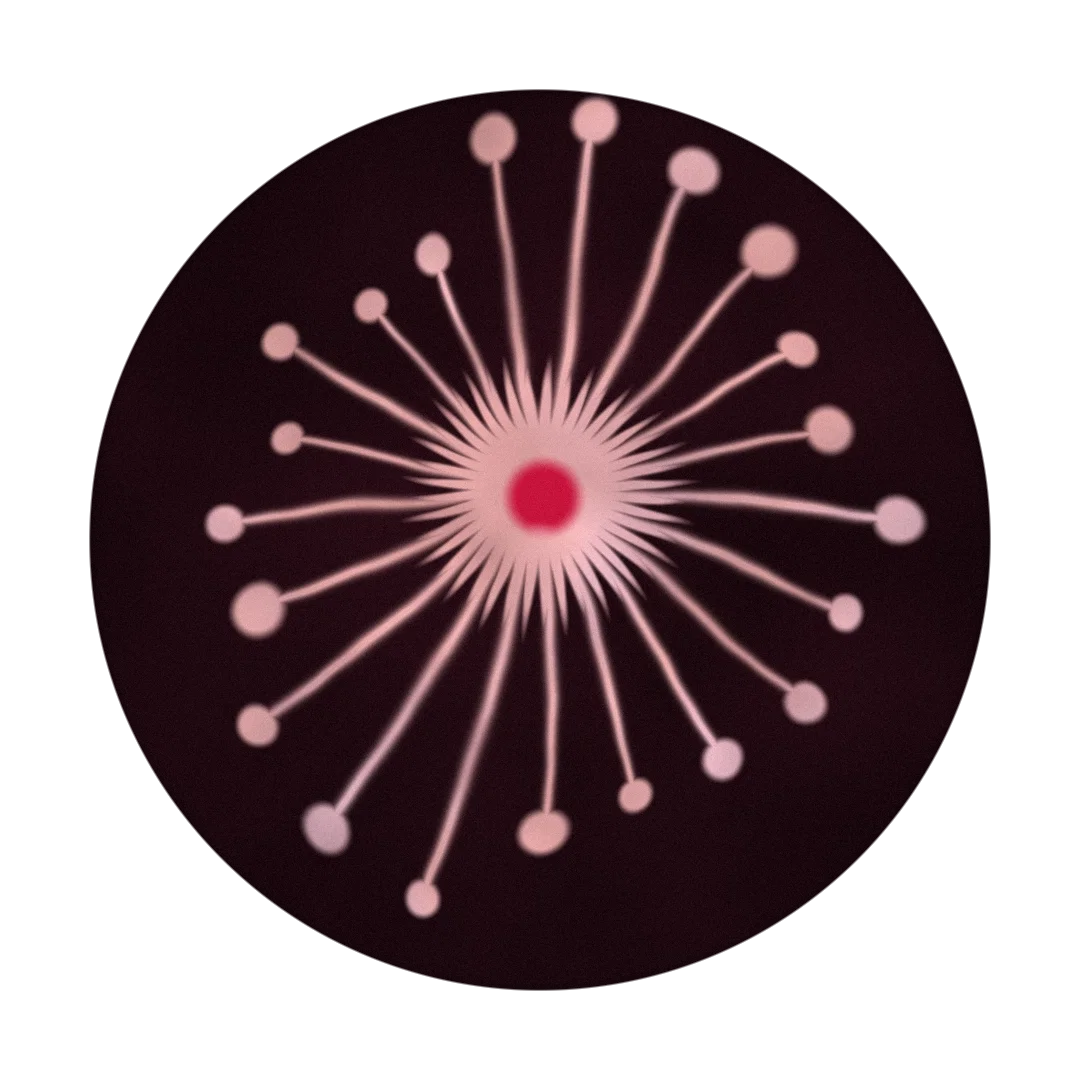 OUTPUT cover