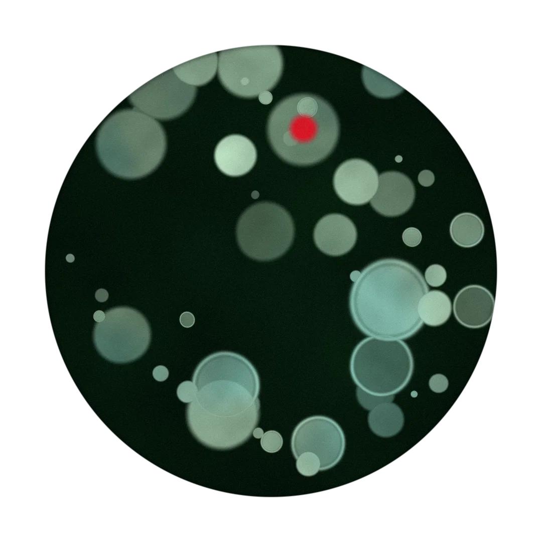 CARBONATE cover