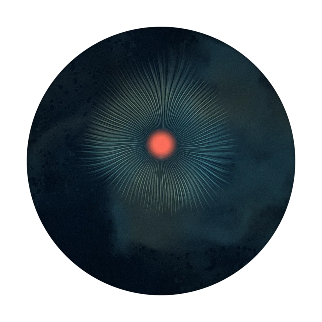 NASA cover