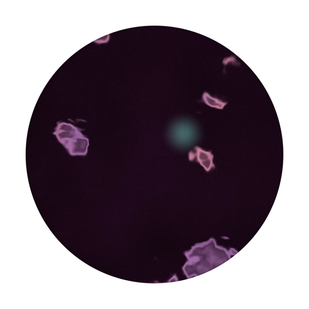 RESEARCH cover