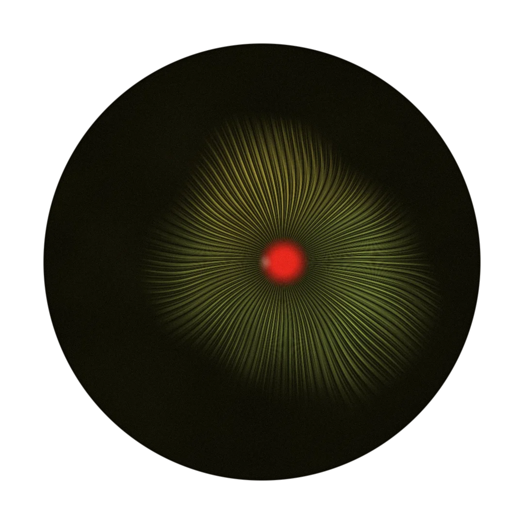 ABSURD cover