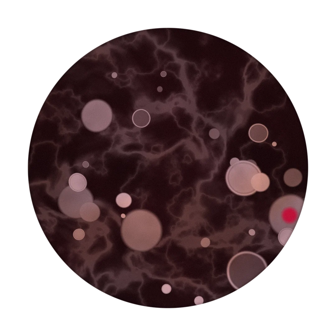 HEN cover