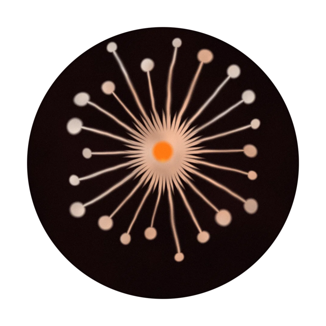 MIMOSA cover