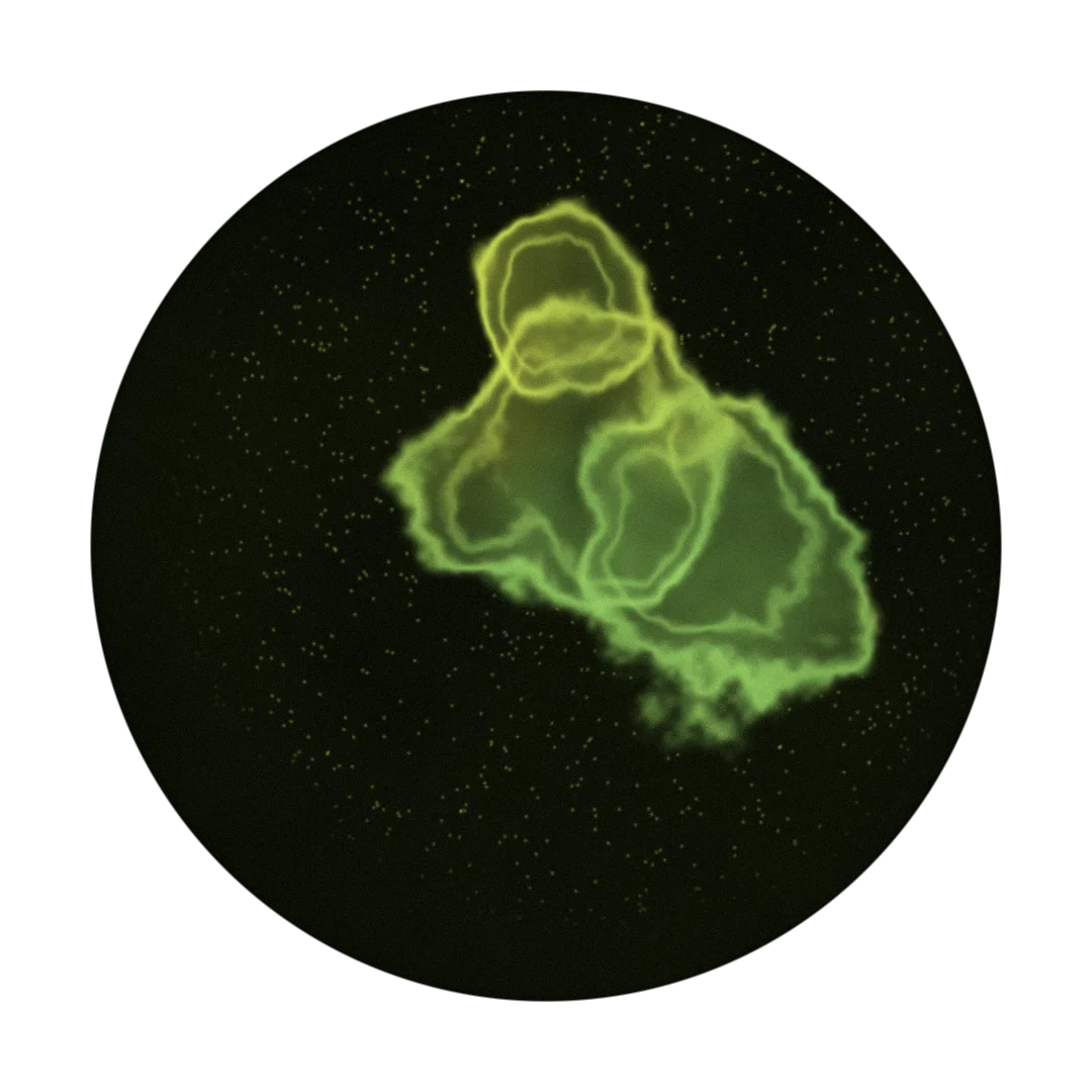 ENZYME cover