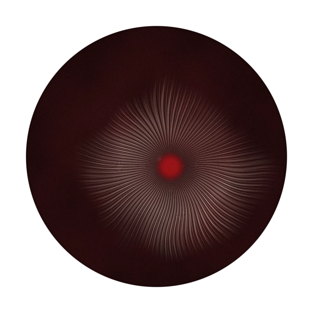 ZEROES cover