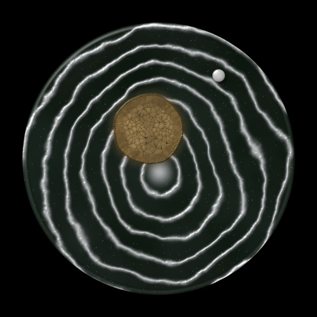 HUNGER cover