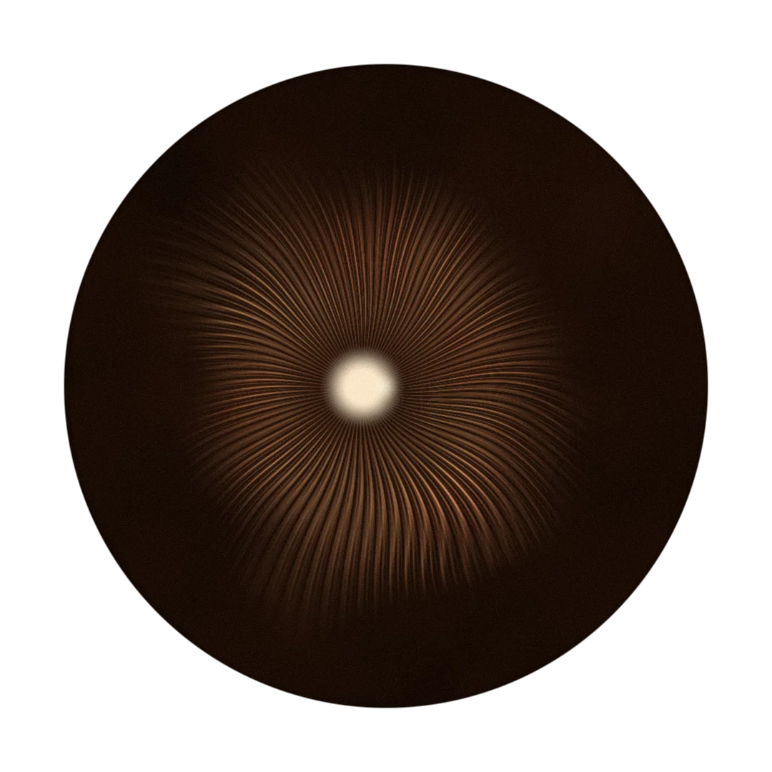 IDLE cover