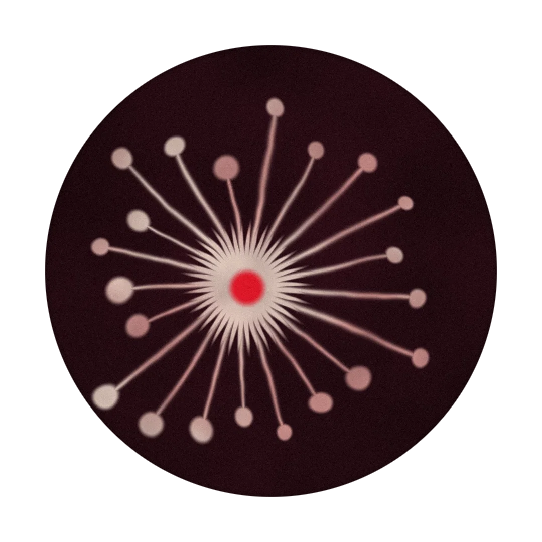 LILLYPAD cover