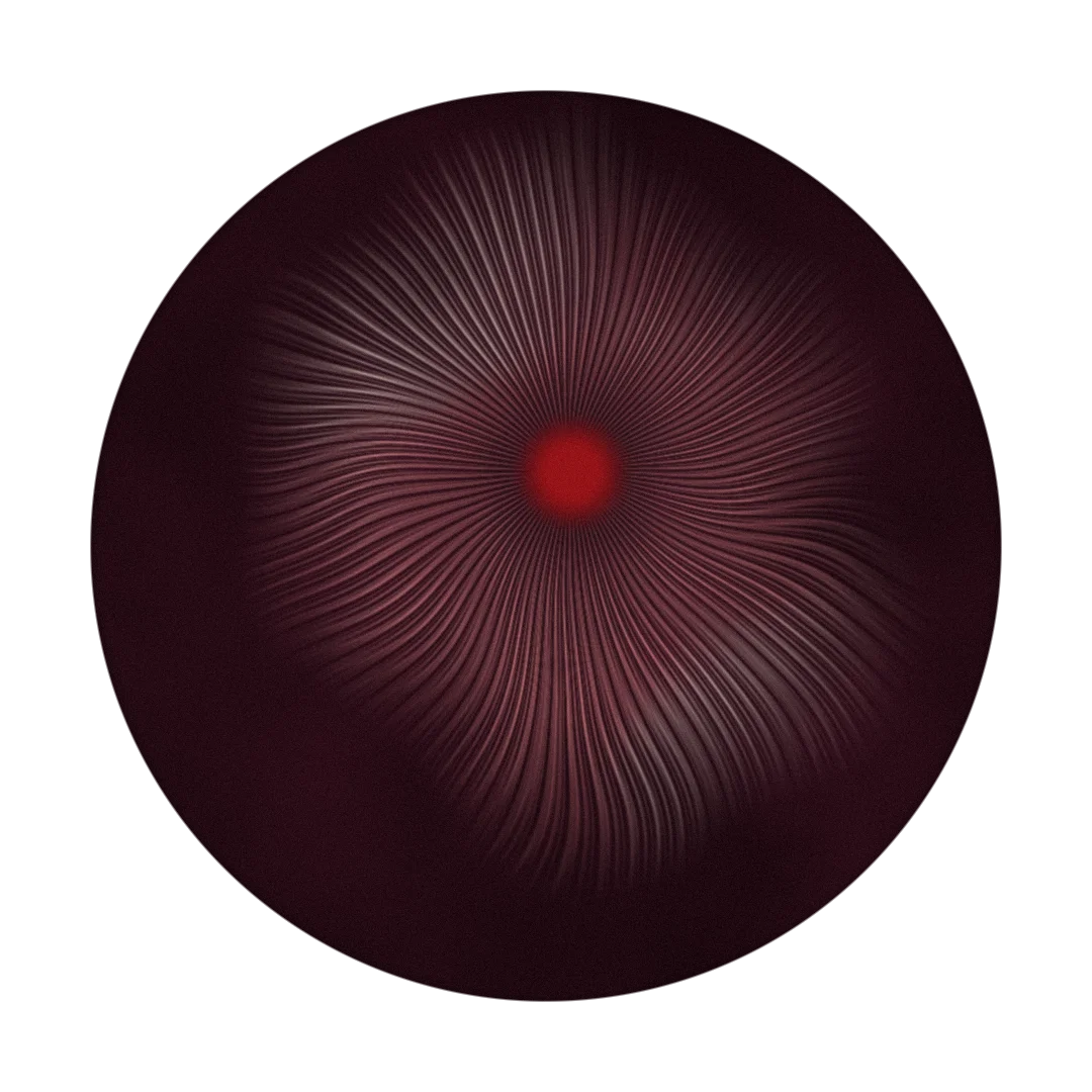MAGENTA cover