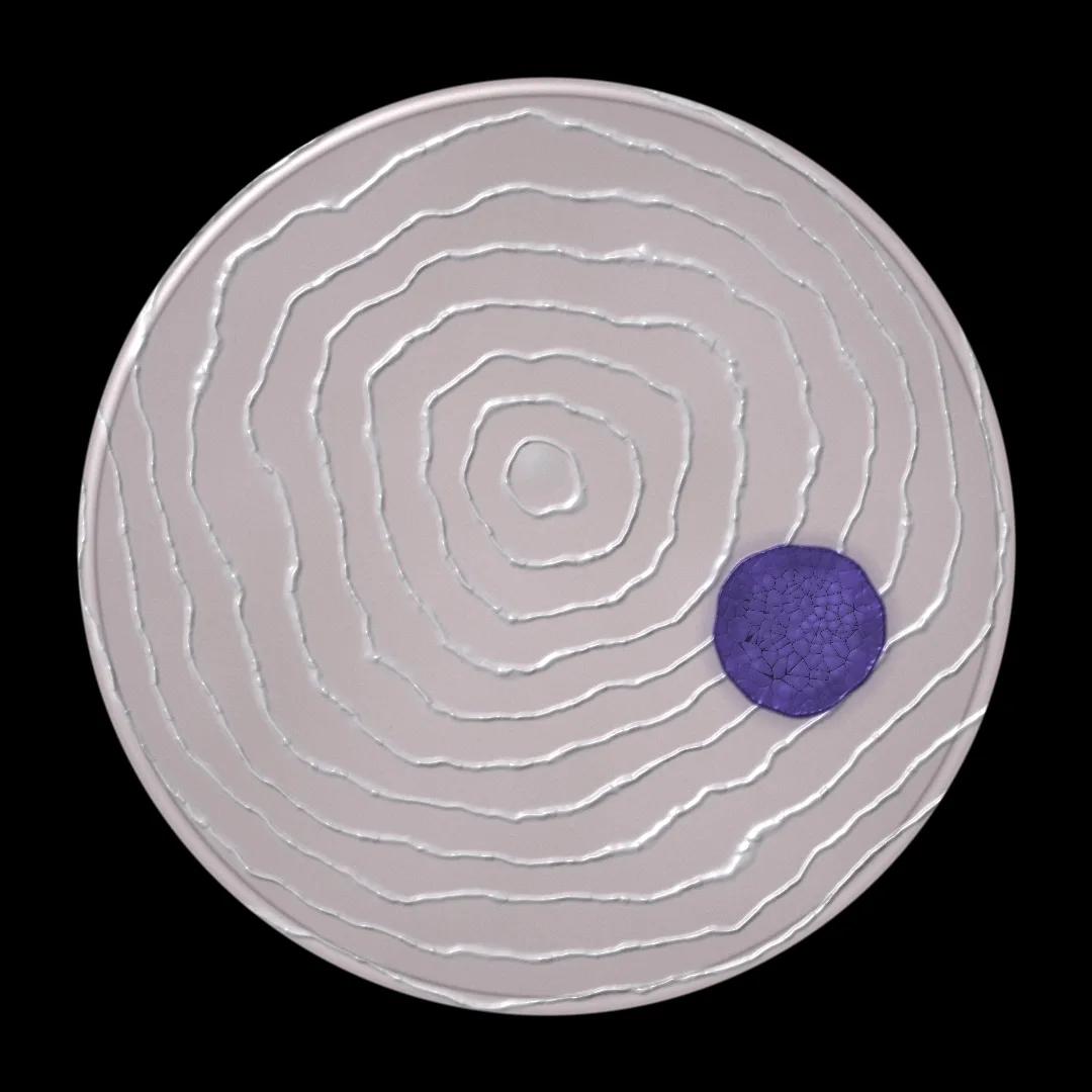 OHTEEHARZ4SPLICE cover