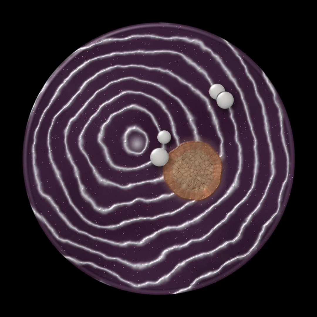 POCHONOS cover