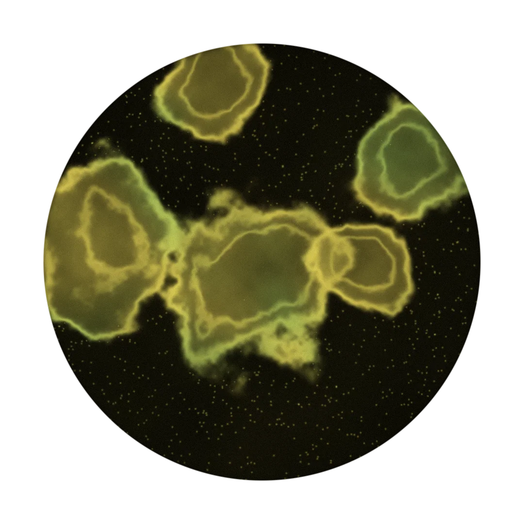PORTAL cover