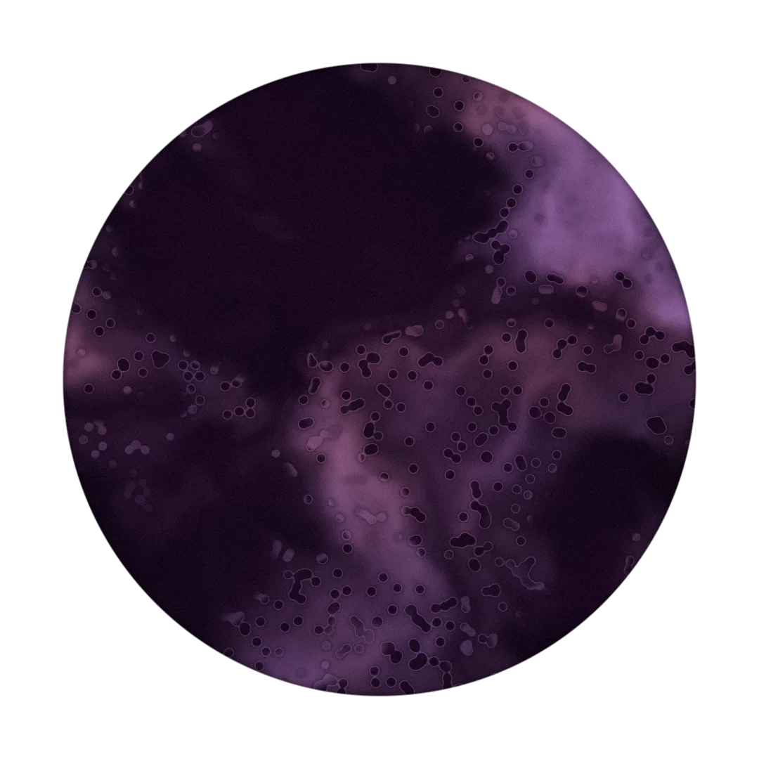 1 HOLO cover