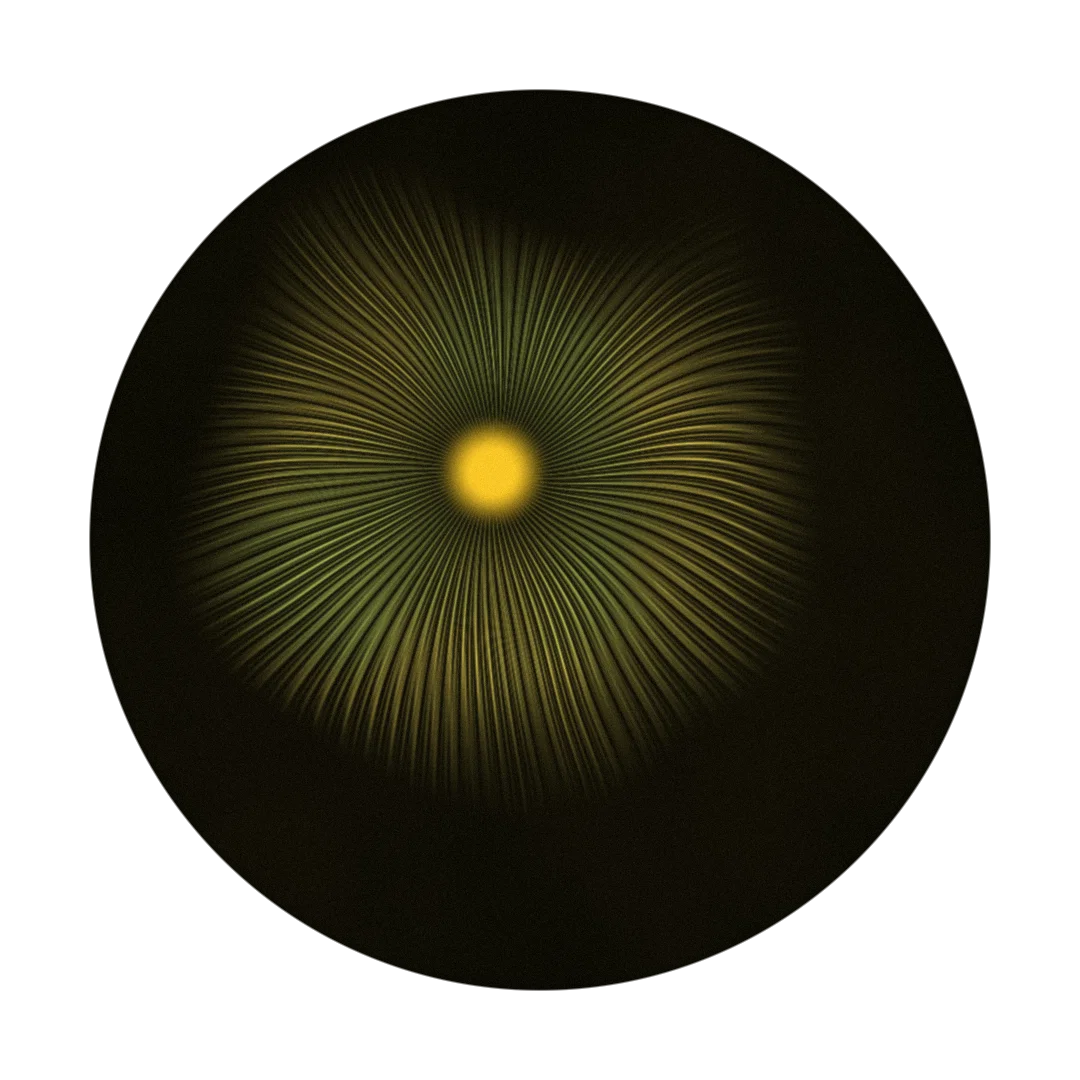 TUNED cover