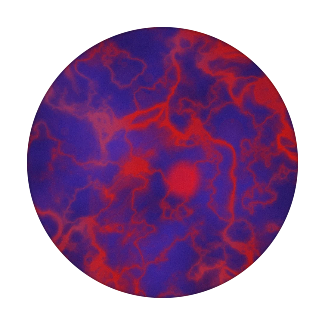 TIDEPOOL cover